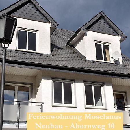 Ferienwohnungen Ferienland Cochem Брутиг-Фанкел Екстериор снимка