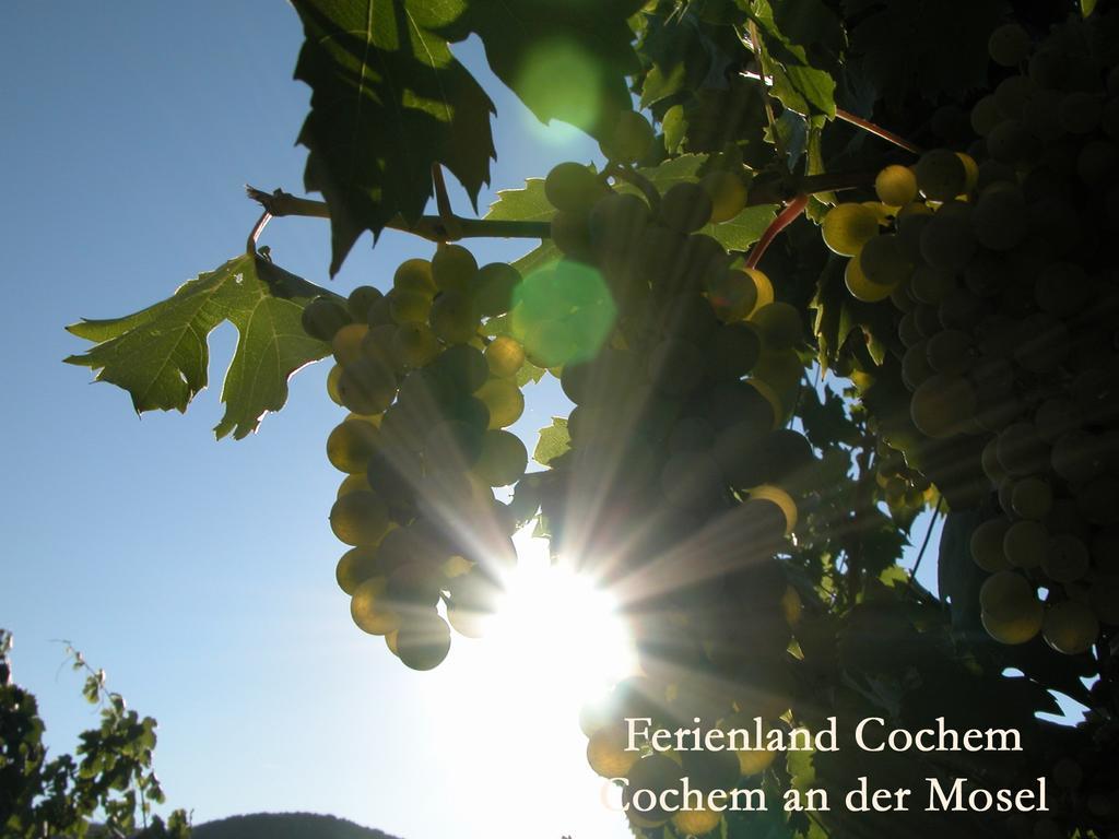 Ferienwohnungen Ferienland Cochem Брутиг-Фанкел Екстериор снимка
