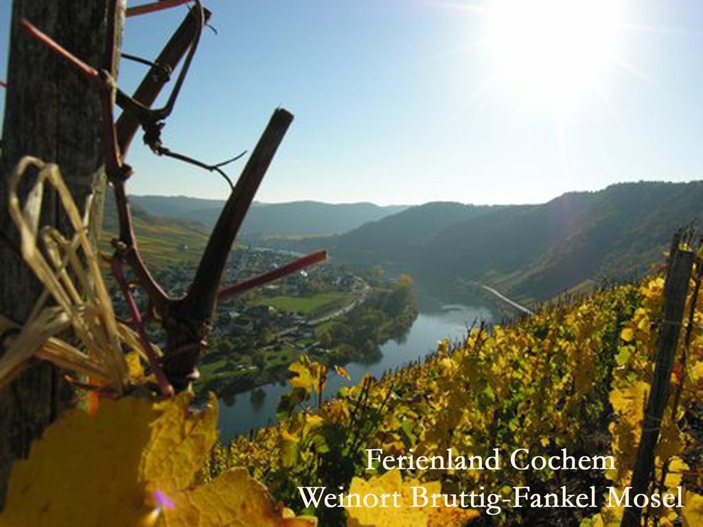 Ferienwohnungen Ferienland Cochem Брутиг-Фанкел Екстериор снимка
